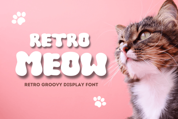 Retro Meow: Infusing Romance and Style into Modern Design